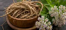 Haematococcus Ingredient